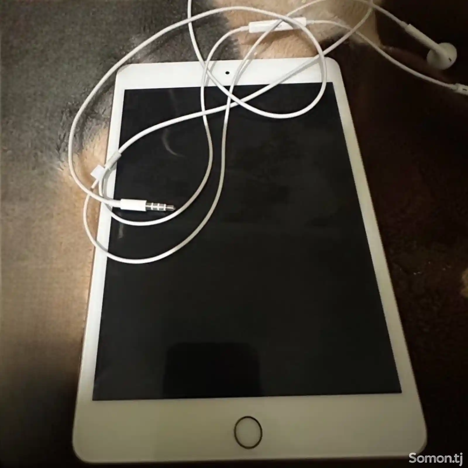 Apple iPad Mini 5 Cellure/Wifi-1
