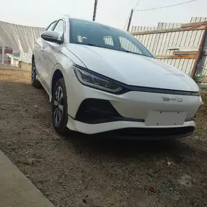 BYD E2, 2024