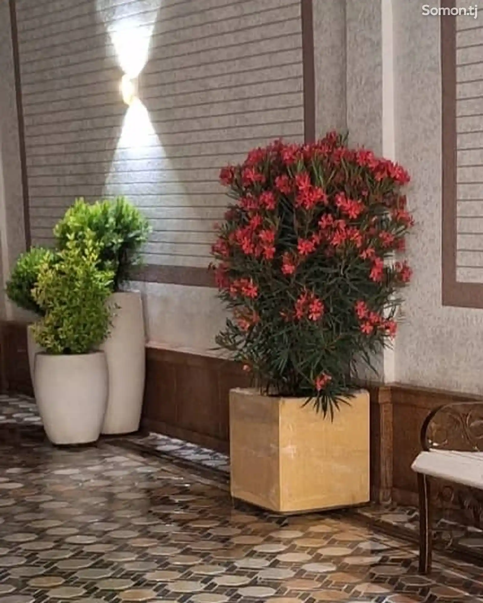 Кашпо для цветов и декоративных растений-2