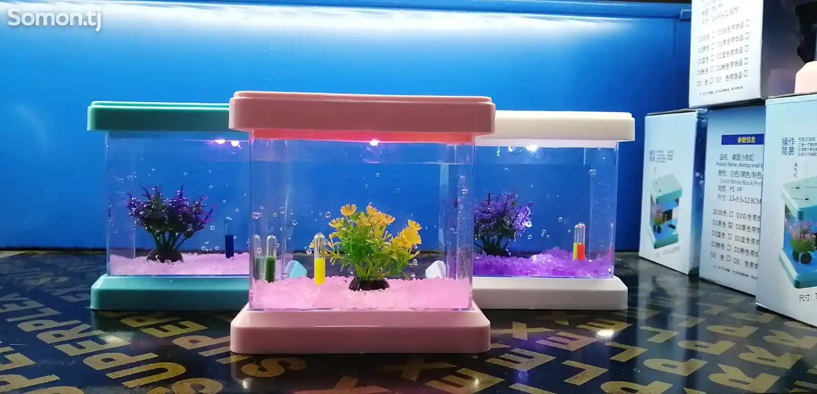 Мини-аквариум-9