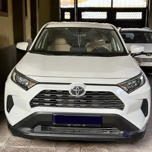 Toyota RAV 4, 2024