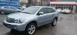 Lexus RX series, 2008-6