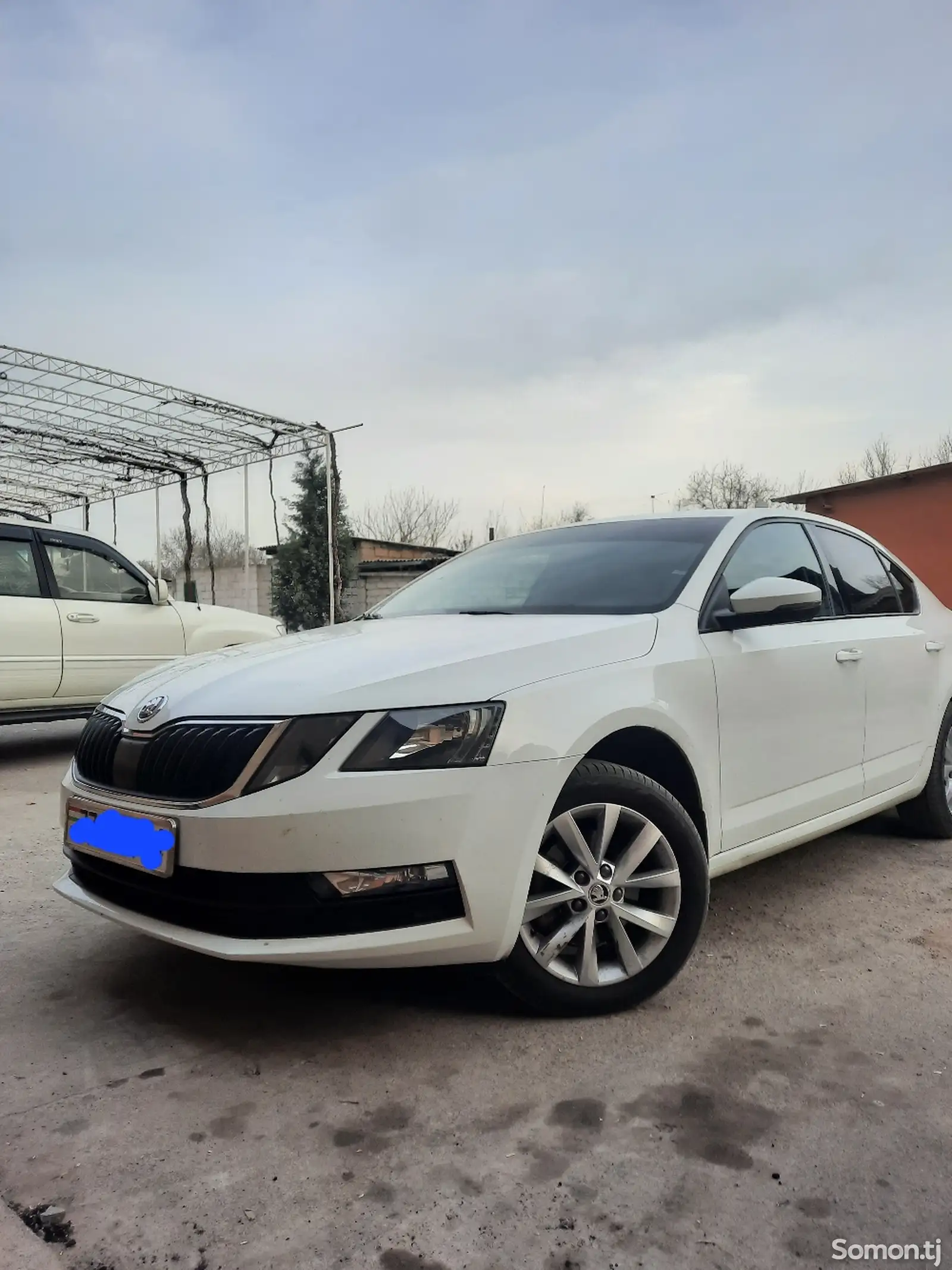 Skoda Octavia, 2020-1