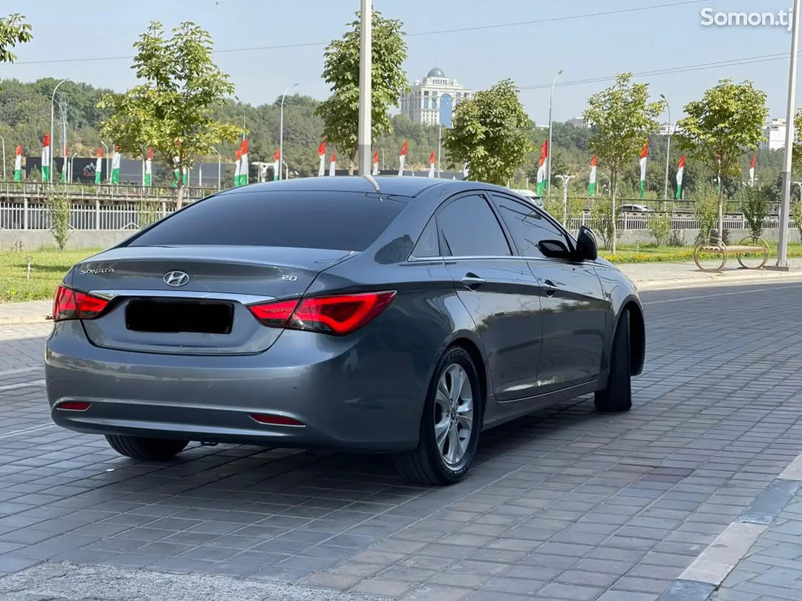 Hyundai Sonata, 2010-3