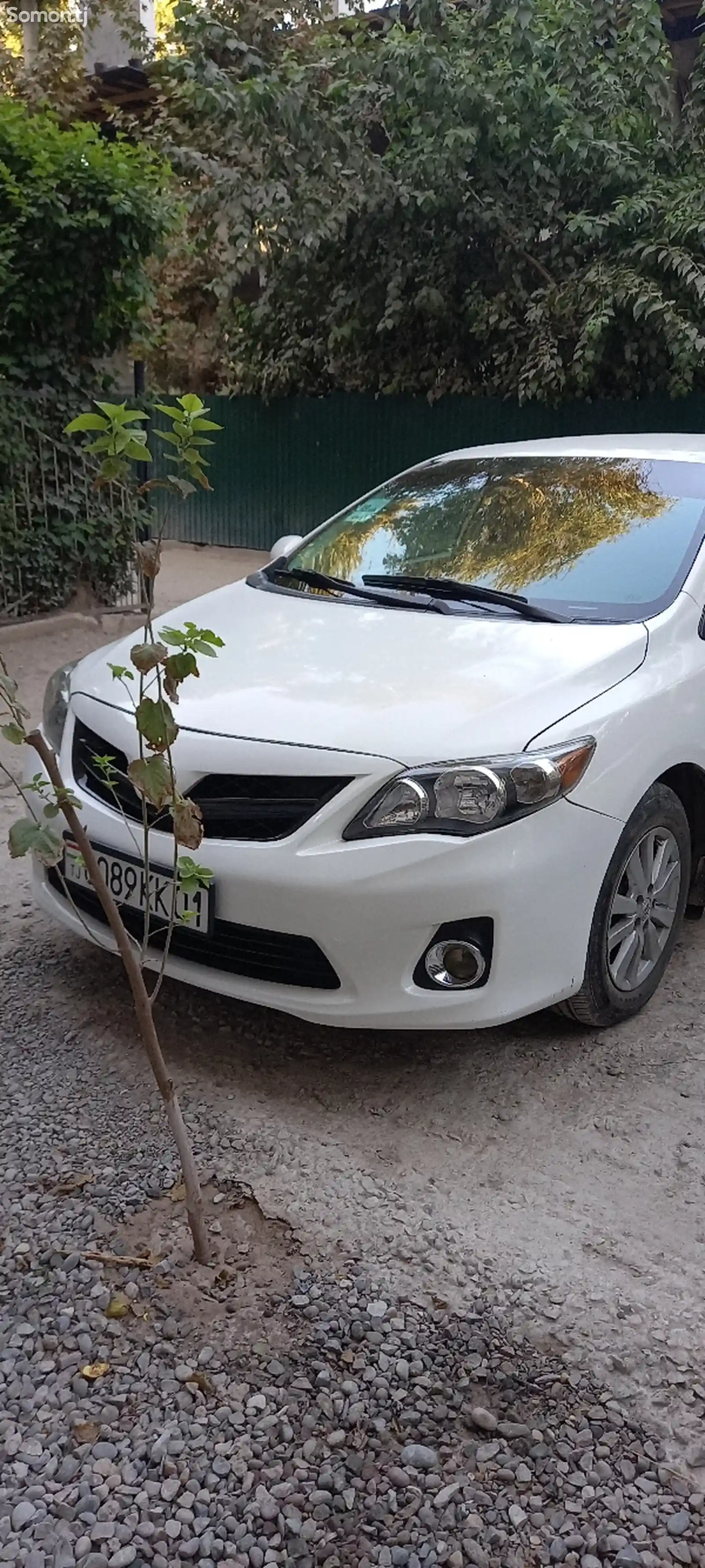 Toyota Corolla, 2010-1