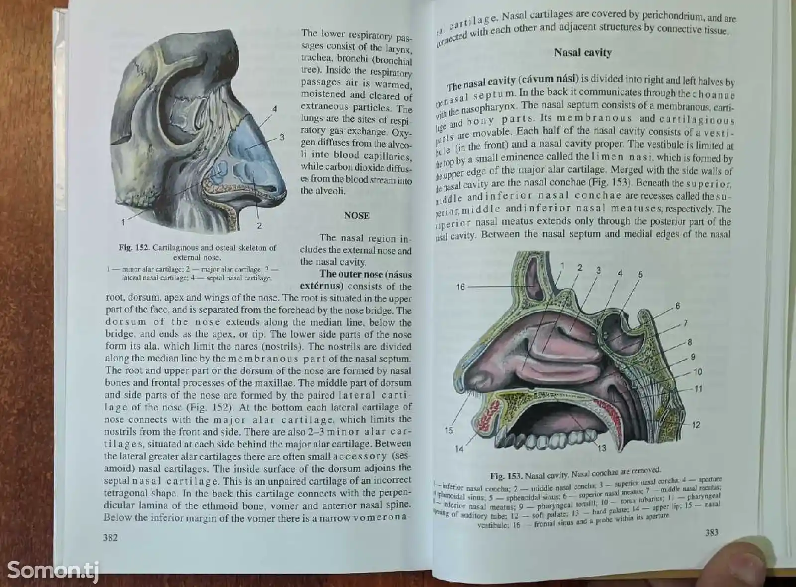 Книга по анатомии человека Textbook of Human Anatomy-5