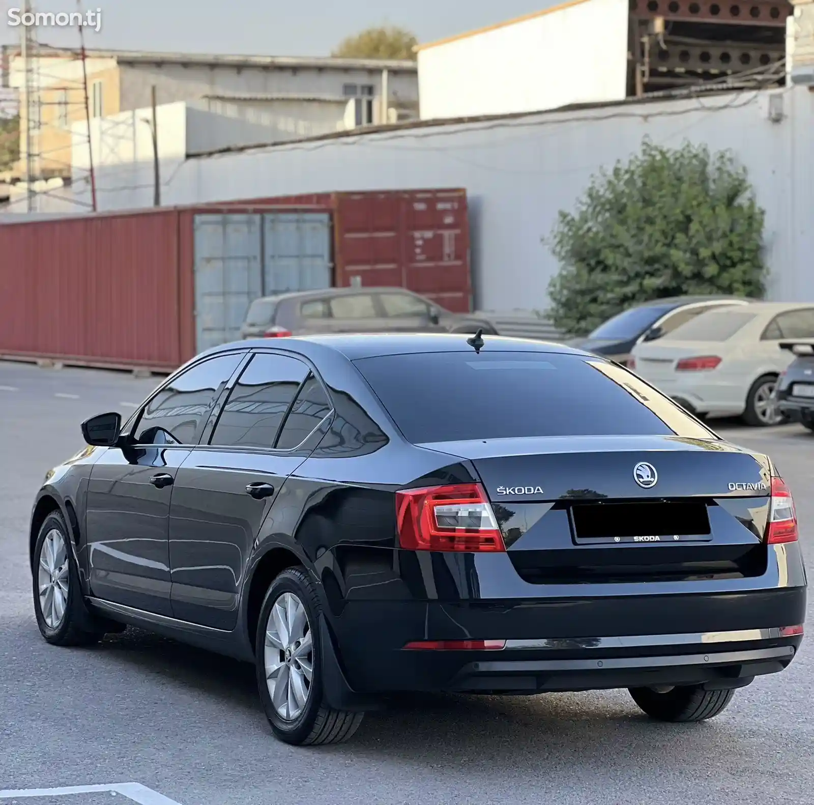 Skoda Octavia, 2019-4