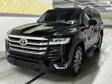 Toyota Land Cruiser, 2023-3