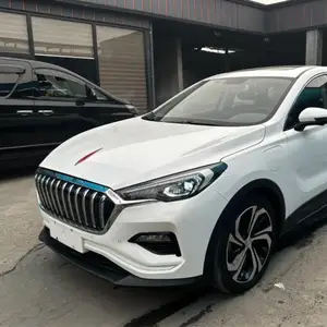 Hongqi E-HS3, 2020