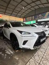 Lexus NX series, 2020-3