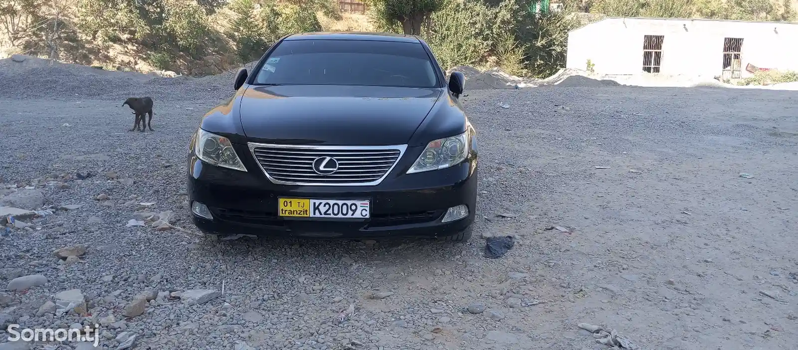 Lexus LS series, 2010-1