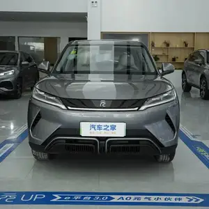 BYD Yuan Up, 2024