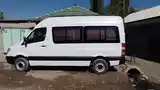 Микроавтобус Mercedes-Benz Sprinter, 2008-4