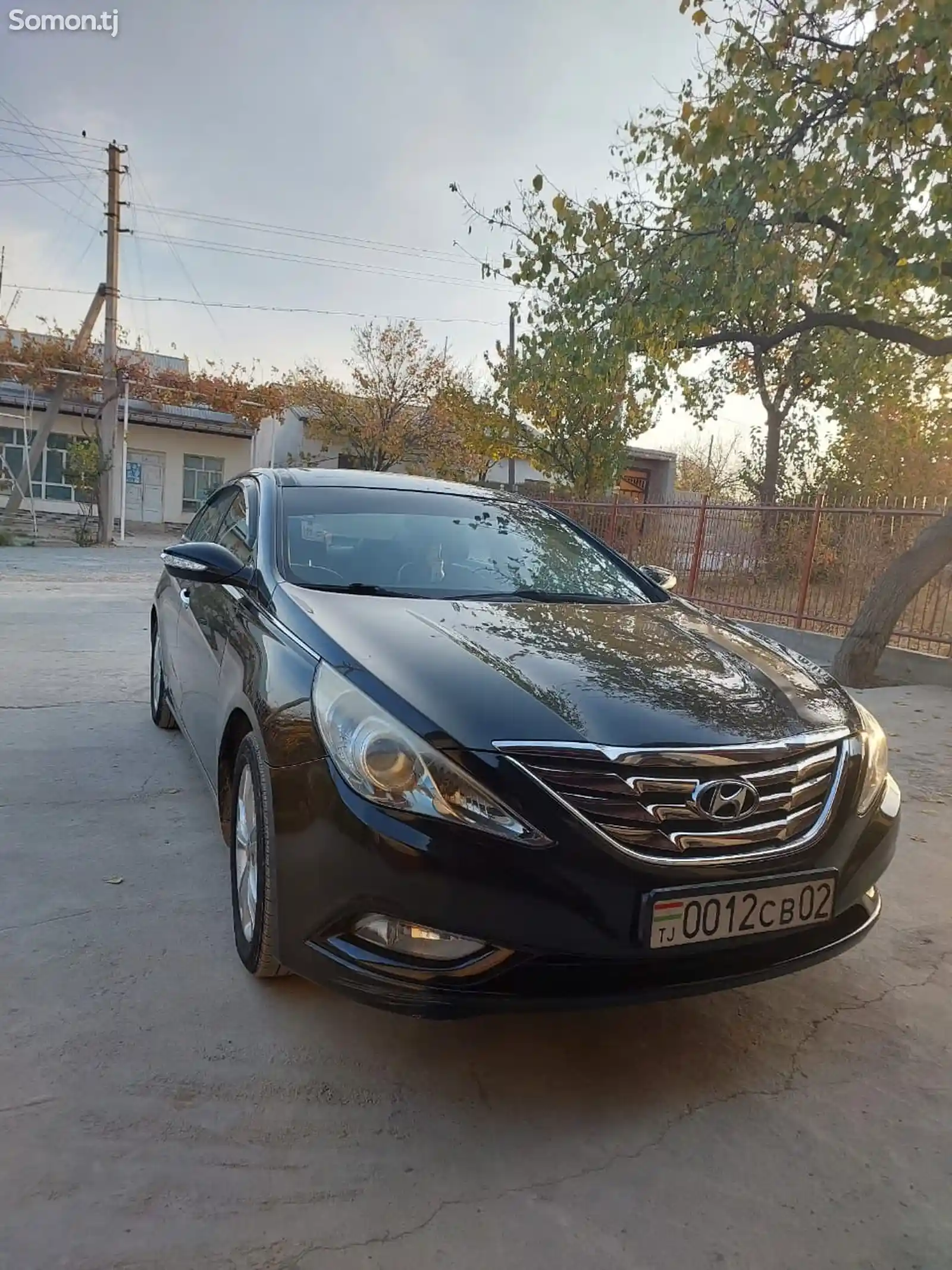 Hyundai Sonata, 2010-1