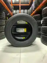 Шины 205/60 R16 Glede-3