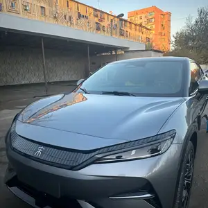 BYD Song L, 2024