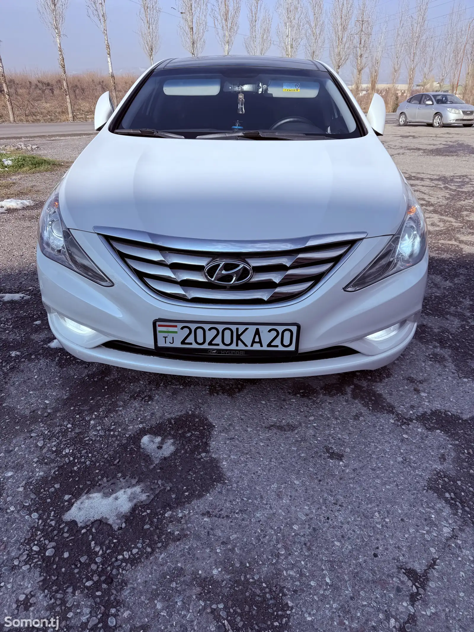 Hyundai Sonata, 2010-1