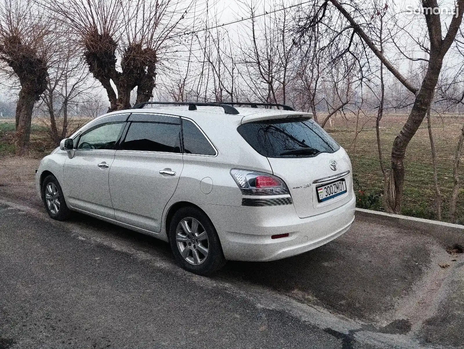 Toyota Mark X ZiO, 2012-3