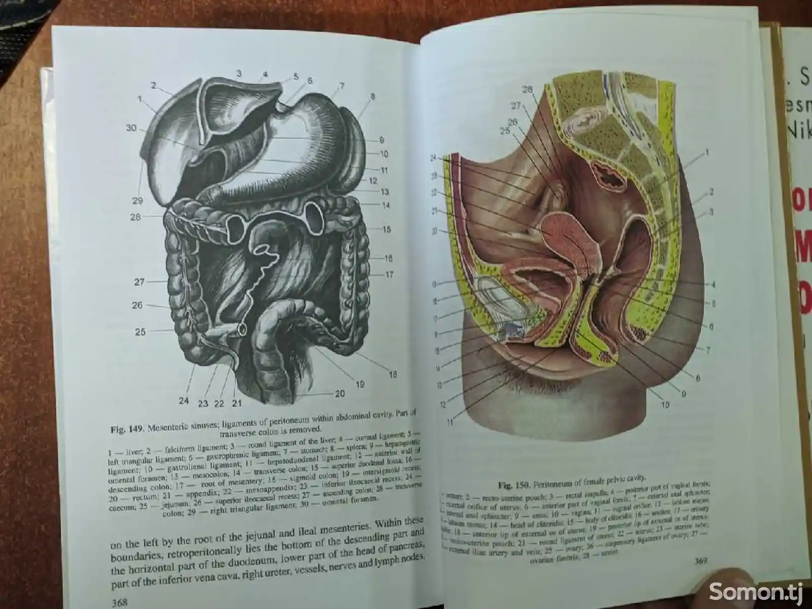Книга по анатомии человека Textbook of Human Anatomy-6