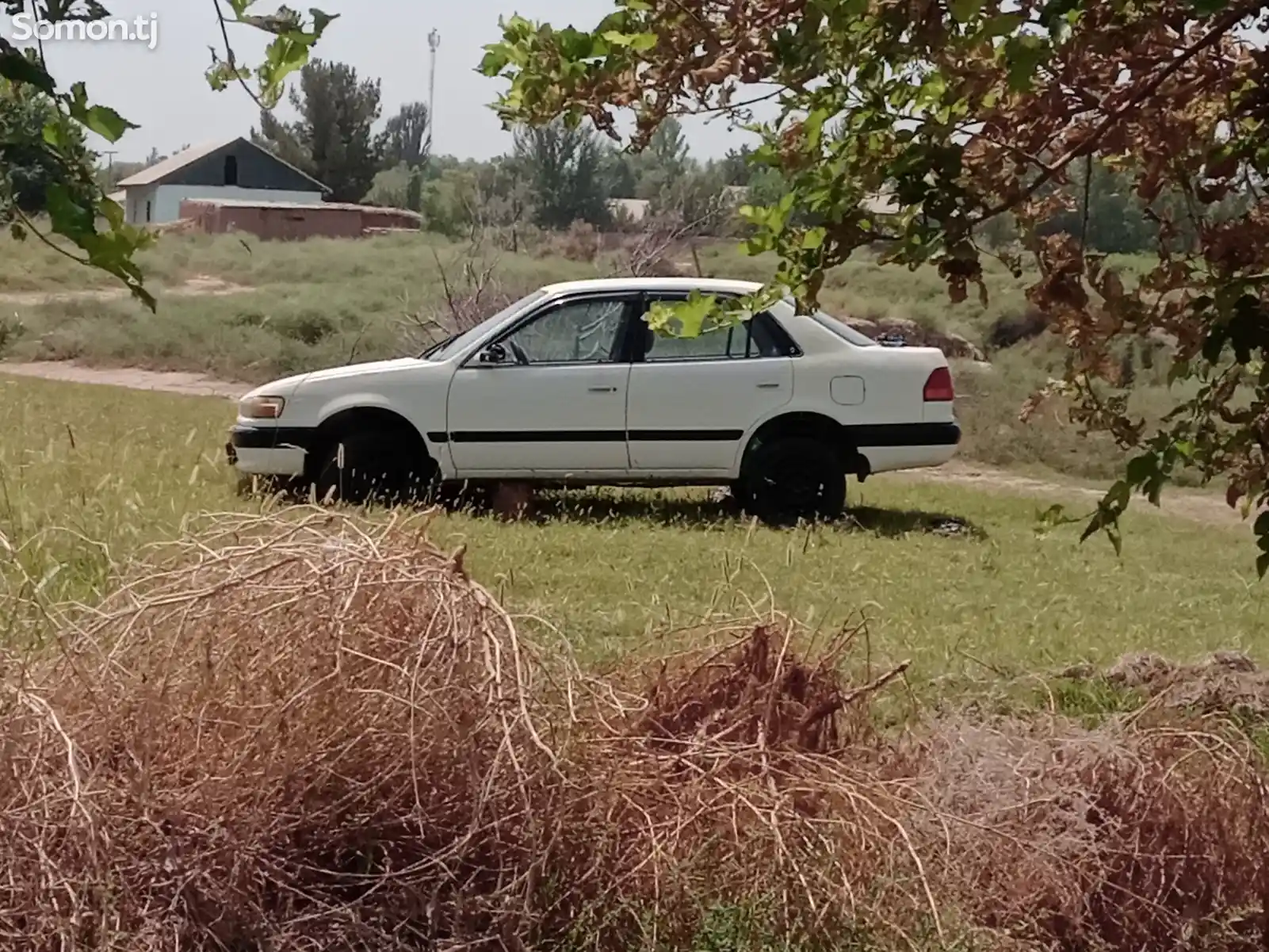 Toyota Corolla, 1995-4