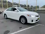 Toyota Camry, 2010-5