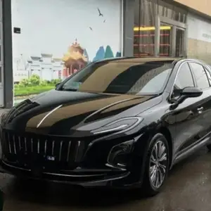 Hongqi E-QM5, 2024