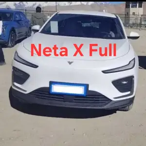 Neta X, 2024