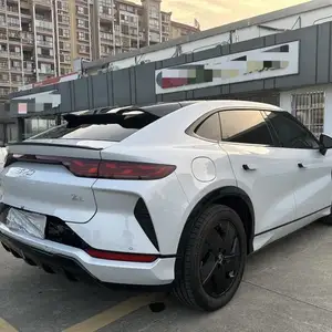 BYD Song, 2024