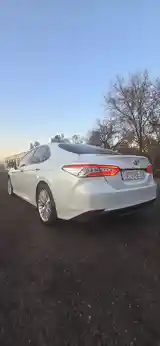 Toyota Camry, 2019-7