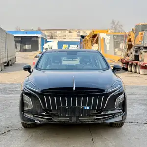 Hongqi E-QM5, 2024