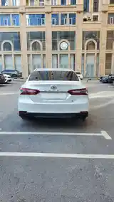 Toyota Camry, 2019-6