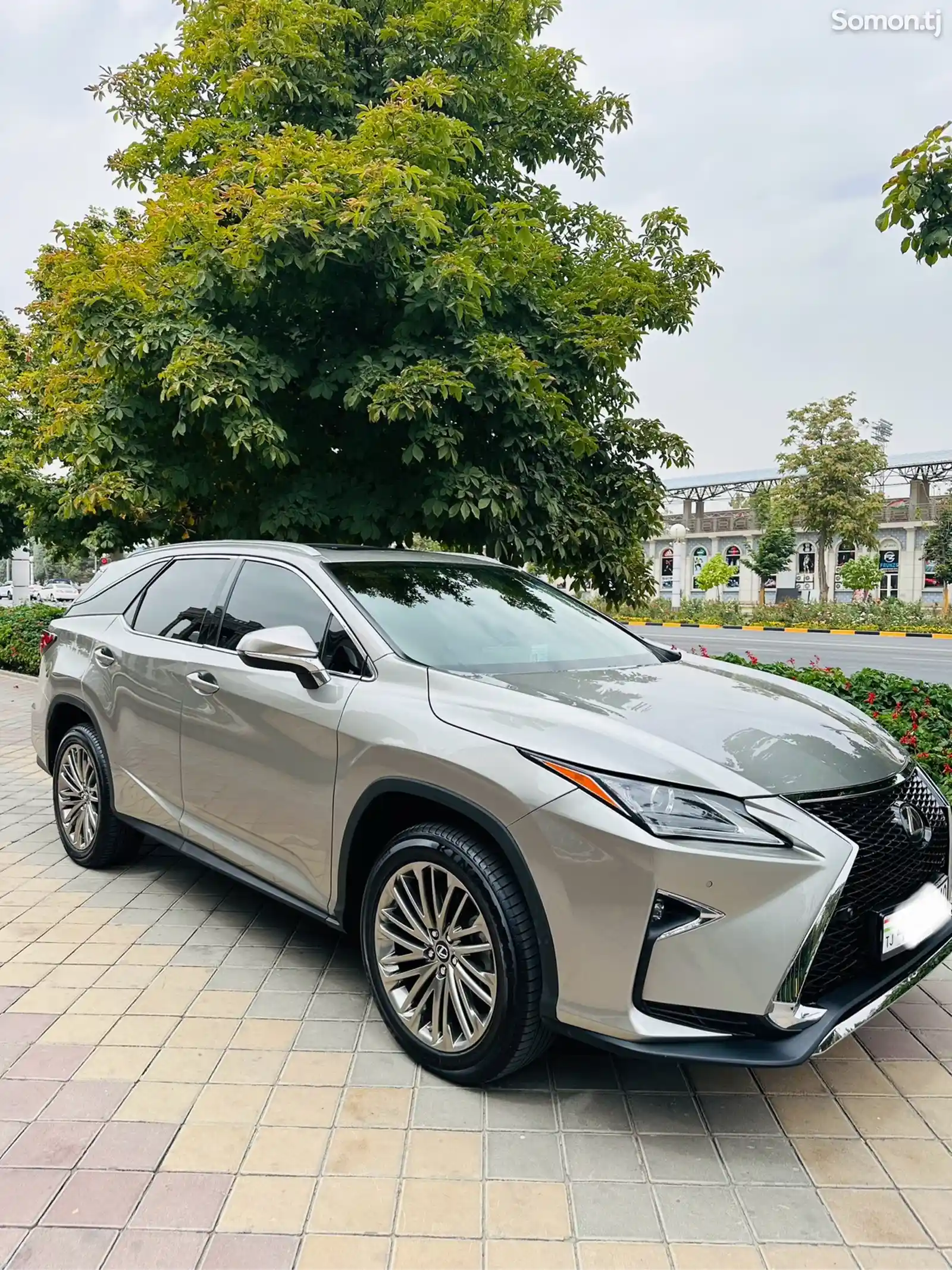 Lexus RX series, 2019-3