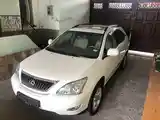 Lexus RX series, 2009-5