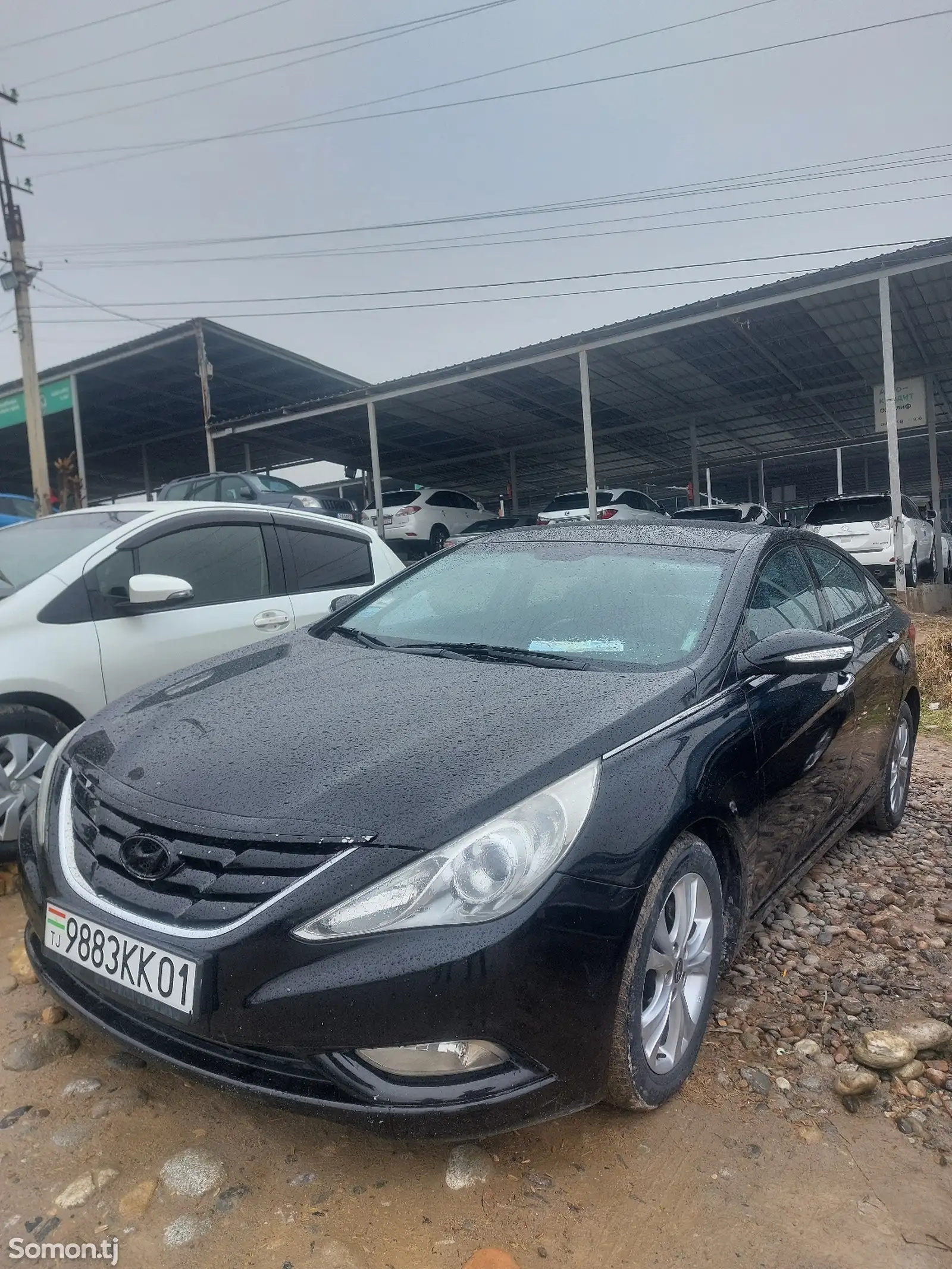 Hyundai Sonata, 2010-1