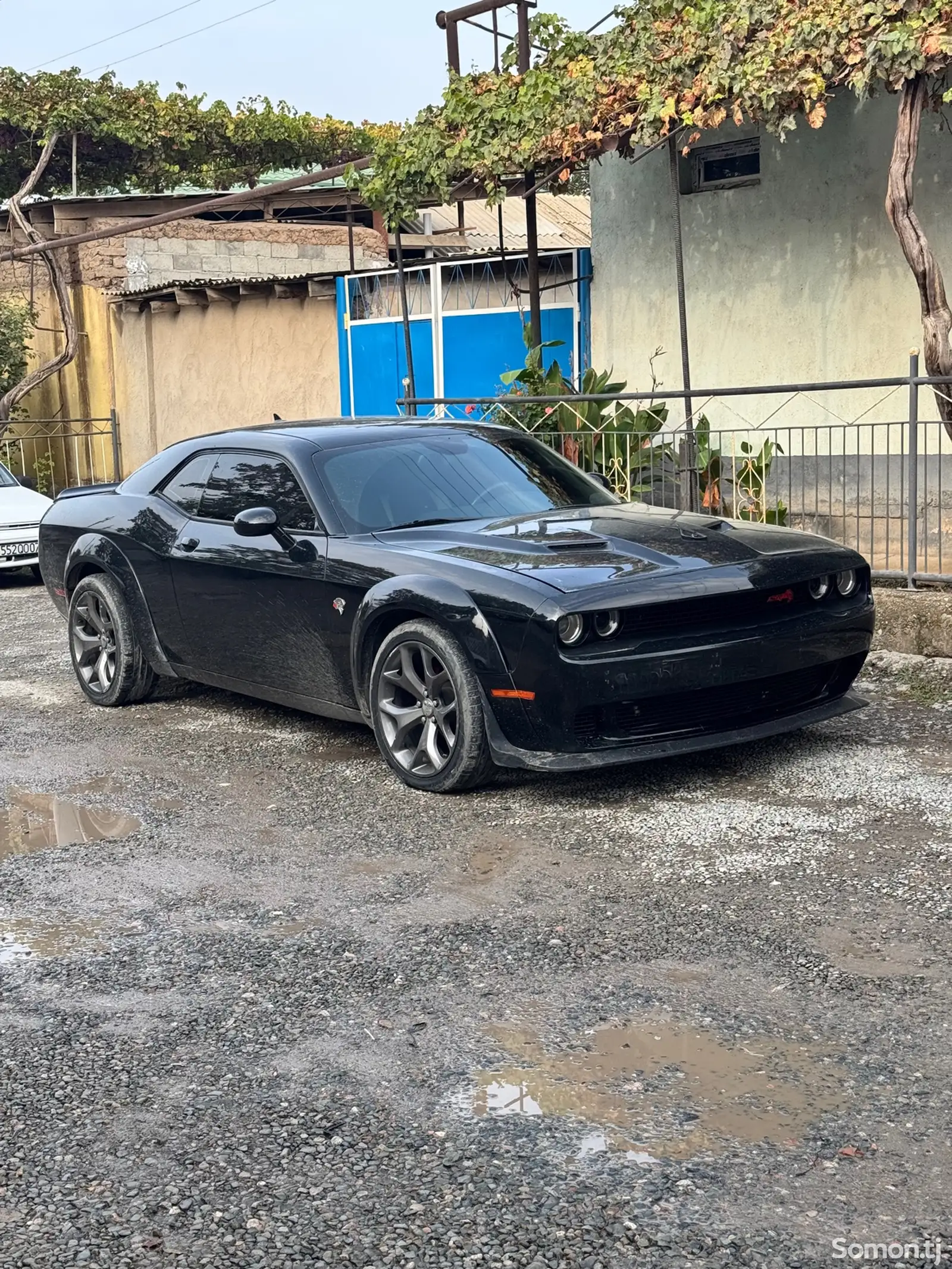 Dodge Challenger, 2015-1