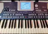 Синтезатор Korg pa 500-2