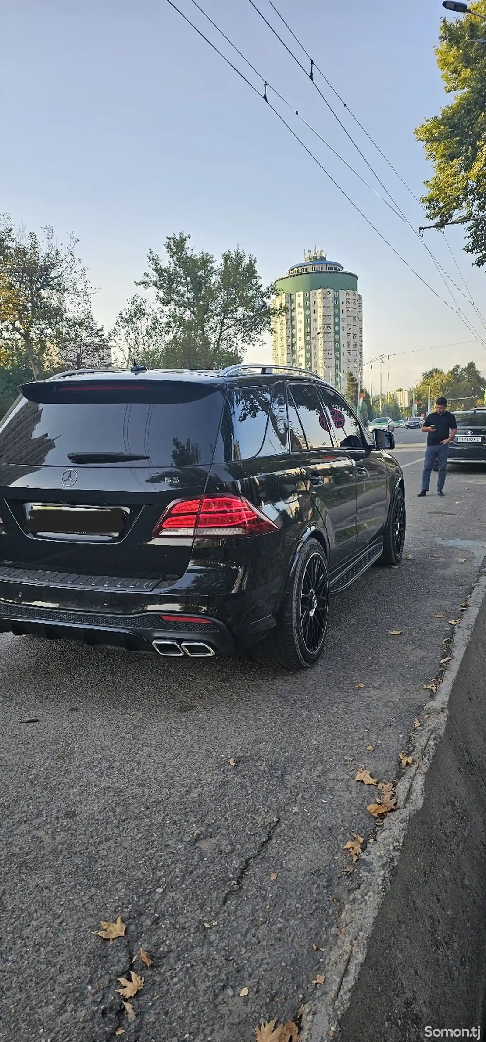 Mercedes-Benz GLE class, 2013-3