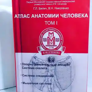 Анатомия Человека Билич.