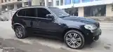 BMW X5, 2011-5