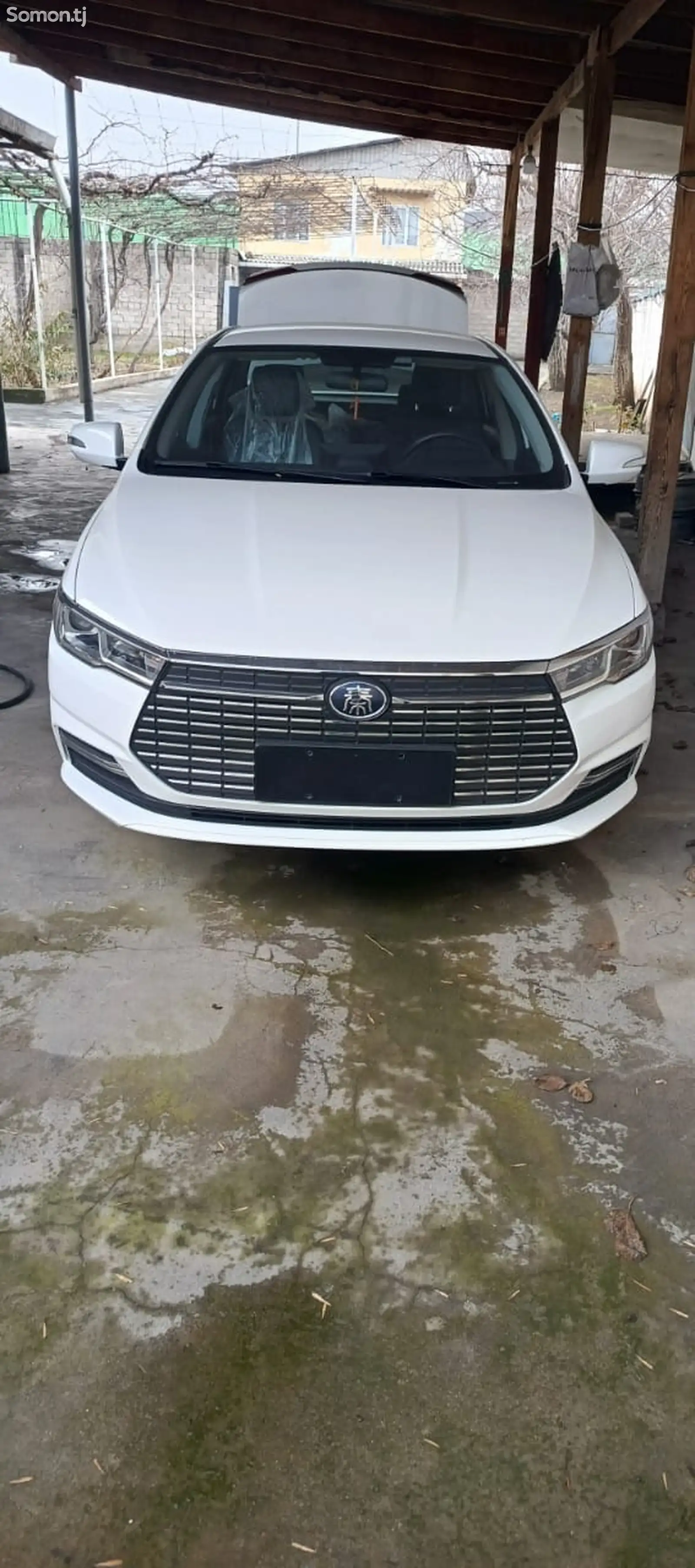 BYD Qin 2023-1