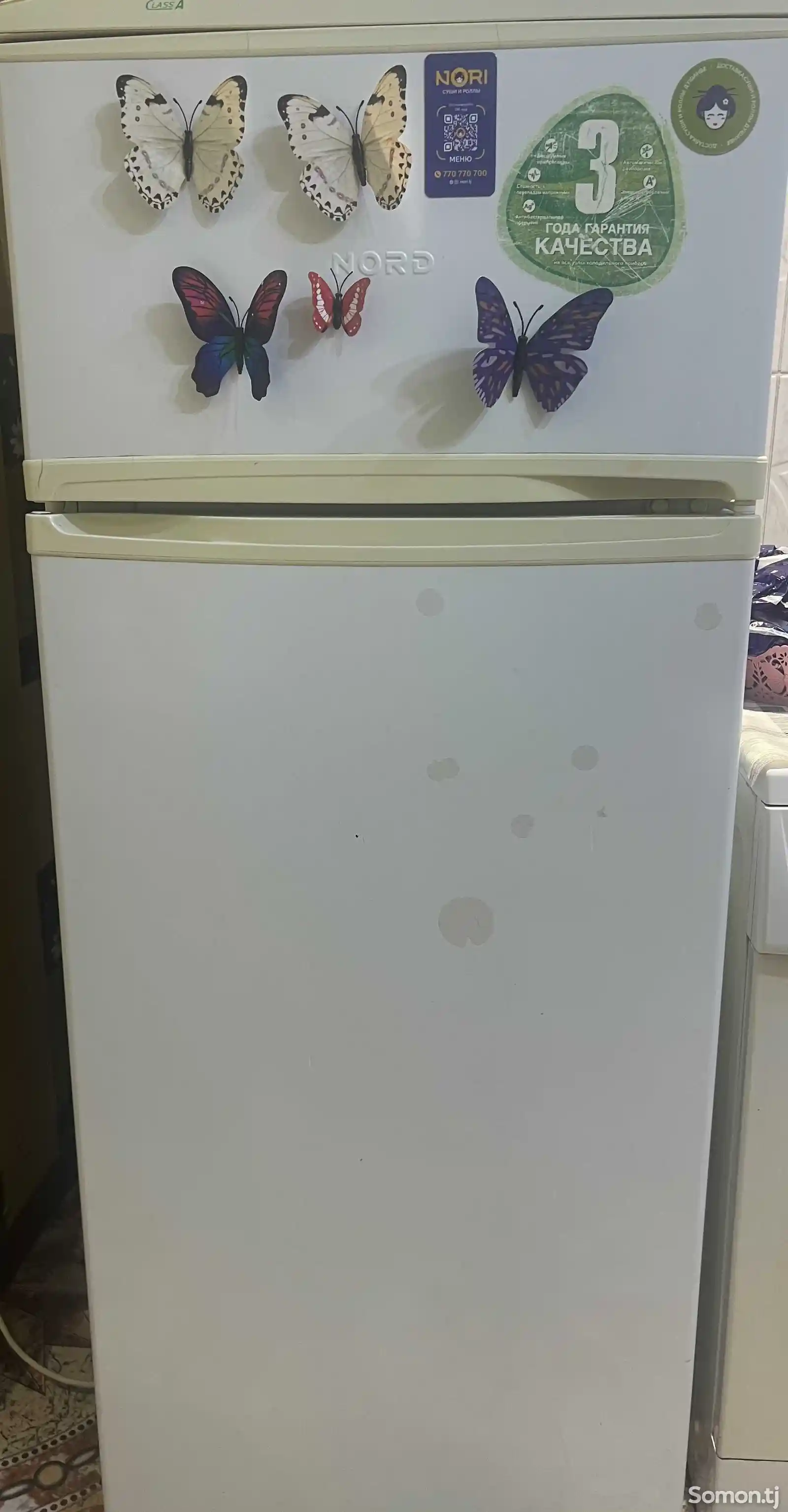 Стиральная машина и холодильник-1