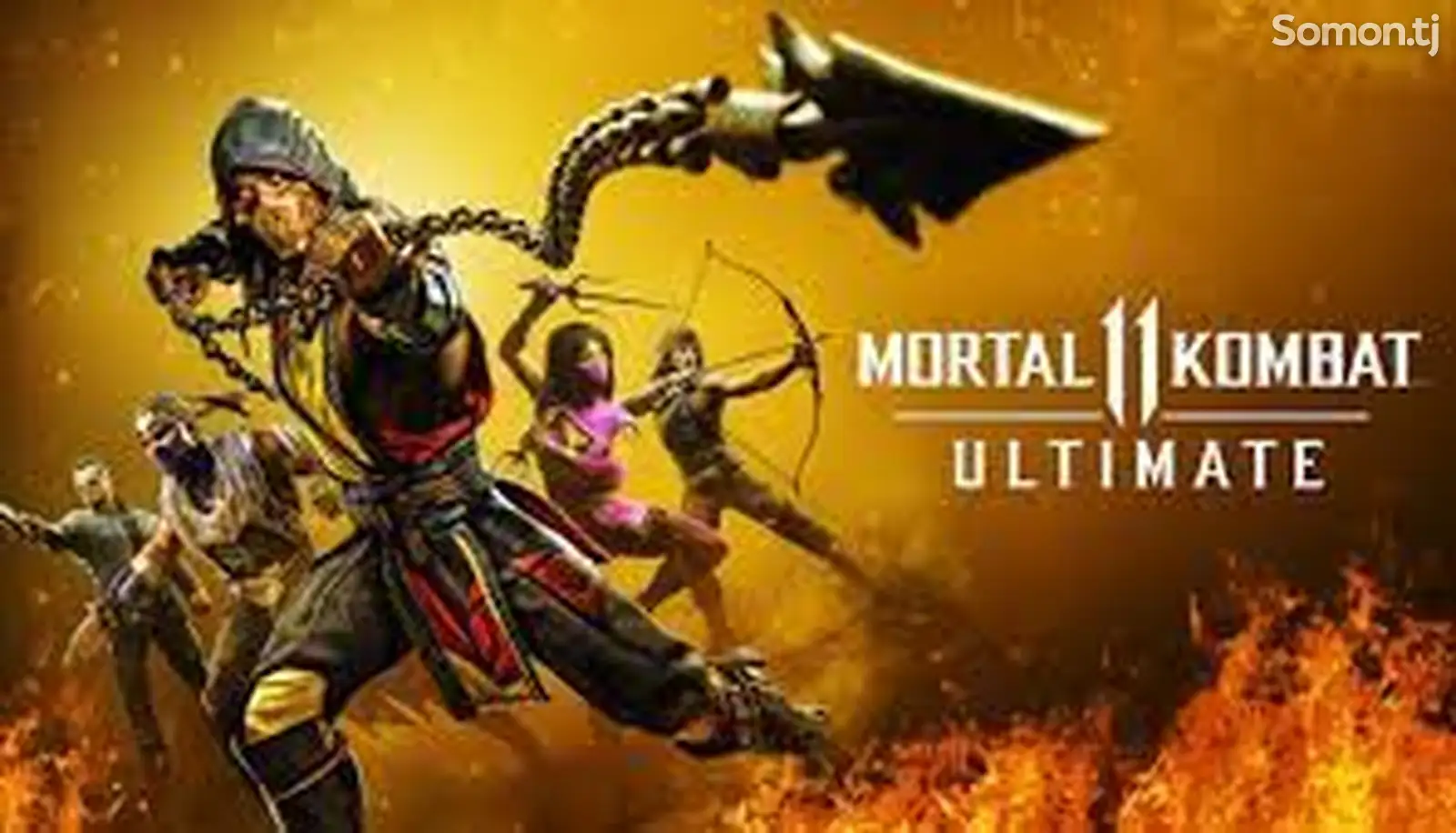 Игра Mortal Kombat 11 на PS4/PS5