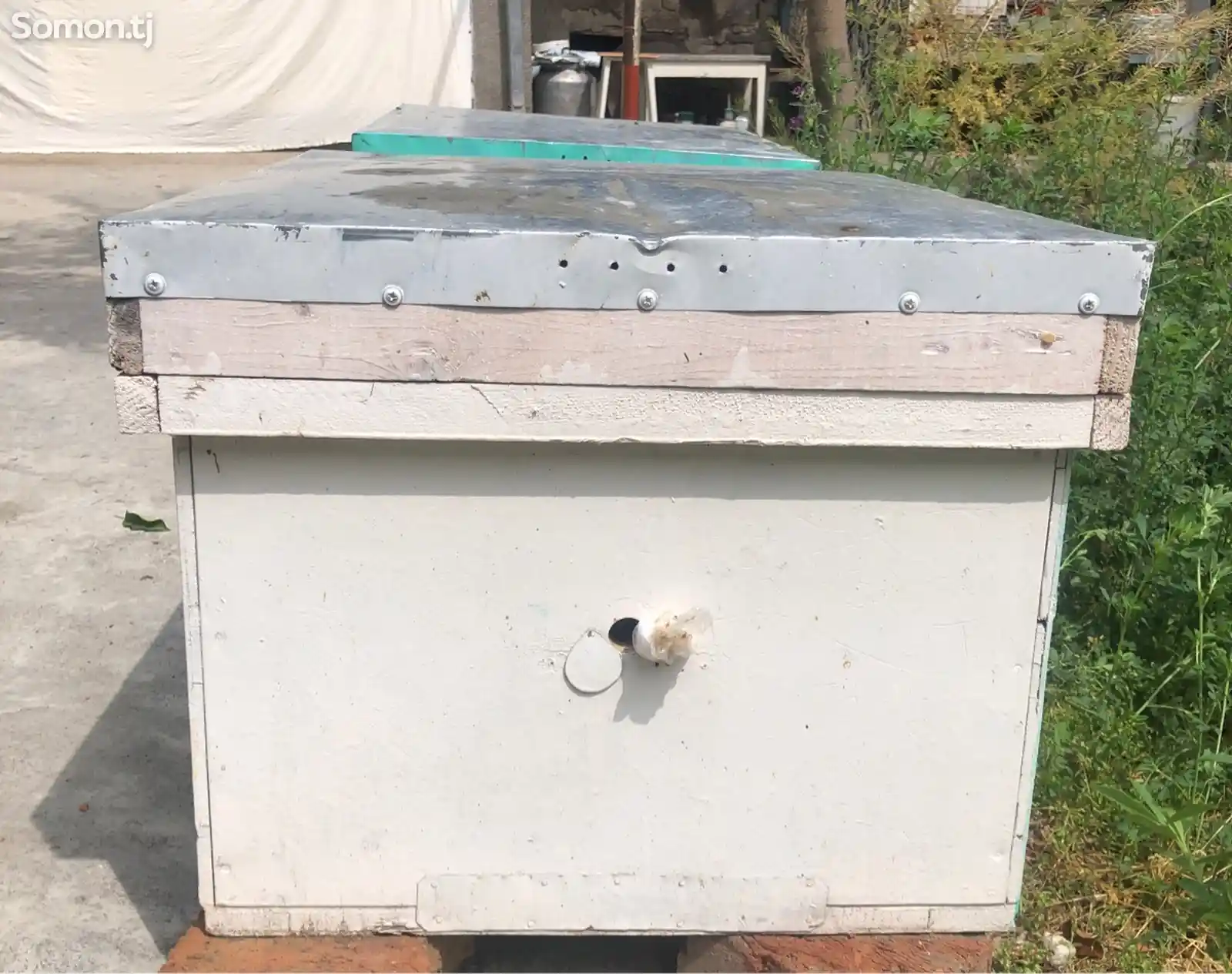 Ящик для пчёл-2