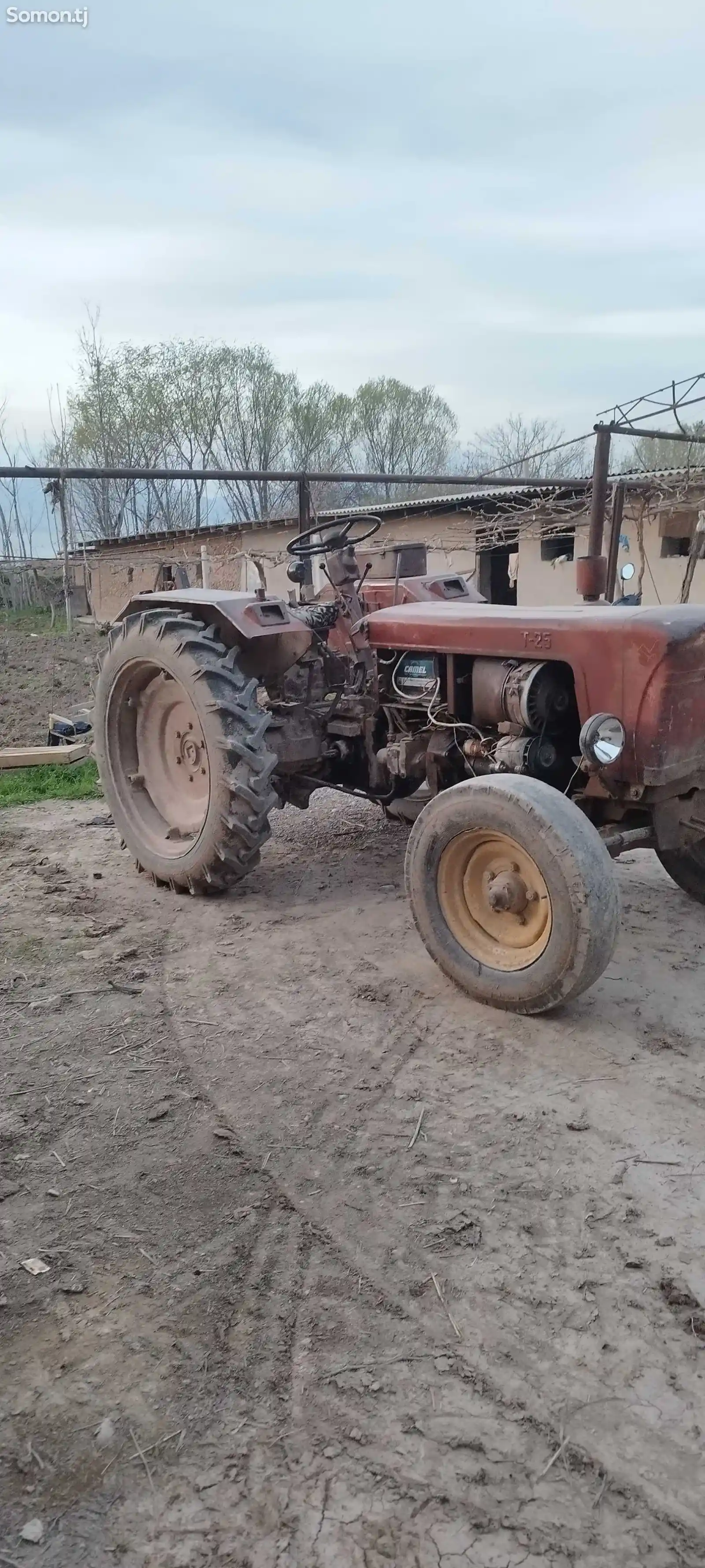 Трактор т25-4