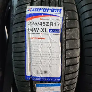 Шины 225/45R17 Кинфорест