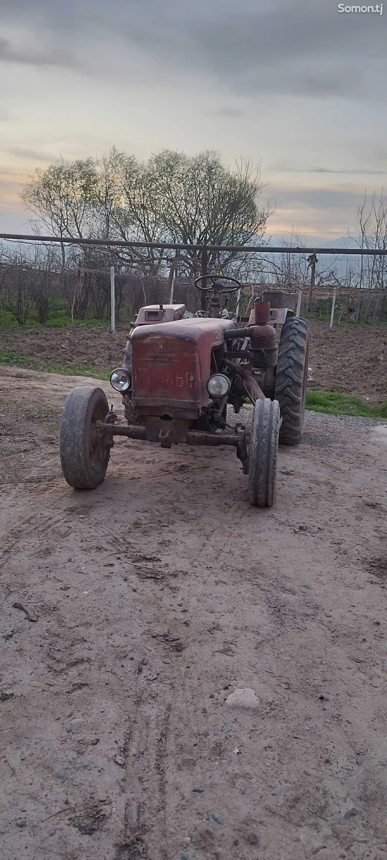Трактор т25-6