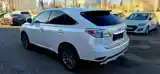 Lexus RX series, 2010-6