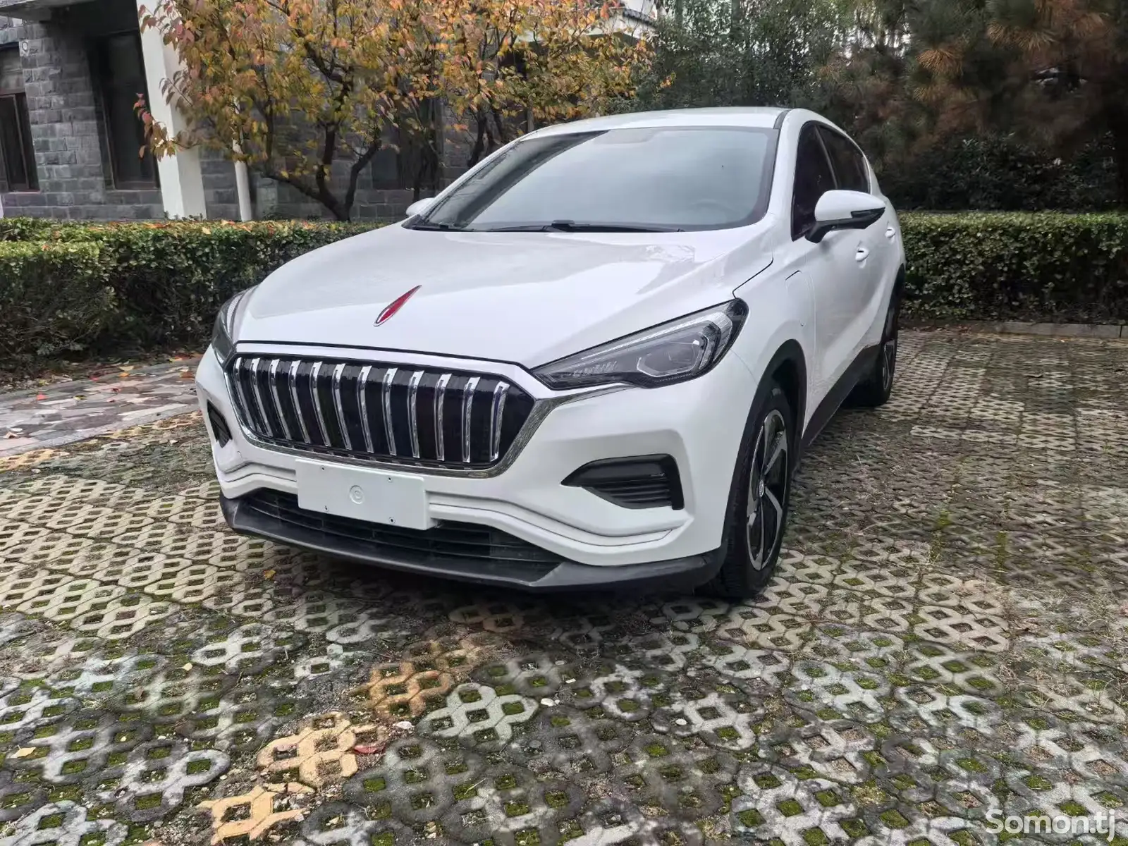 Hongqi E-HS3, 2019-1