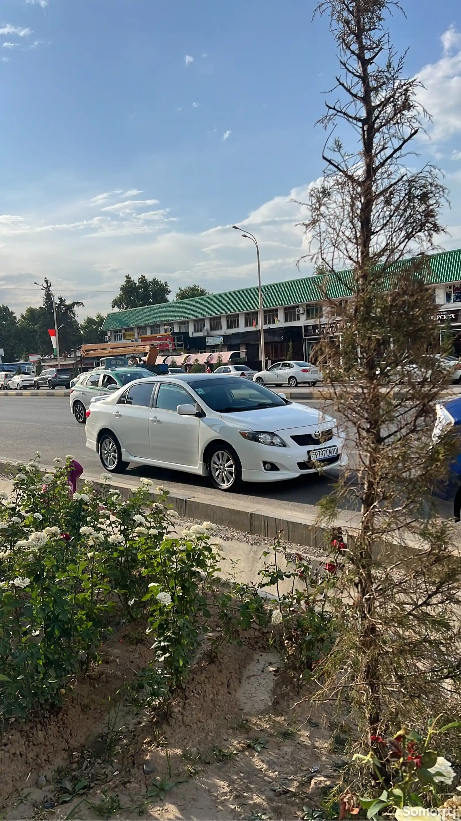 Toyota Corolla, 2009-2