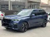 BMW X7, 2021-4